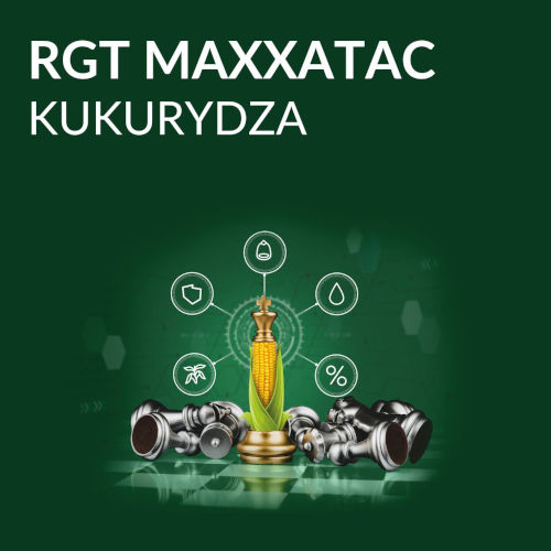 kukurydza FAO 250 - RGT Maxxatac.