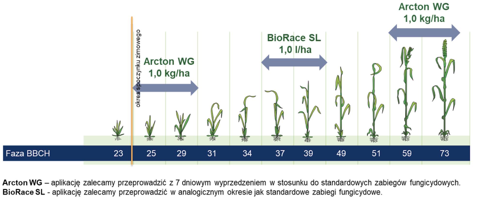 Schemat stosowania Arcton WG oraz Biorace SL