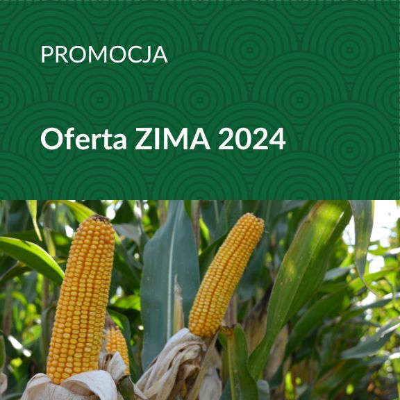 ZIMA 2024 - oferta promocyjna