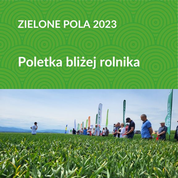 zielone pola 2023