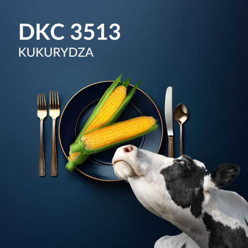 DKC 3513